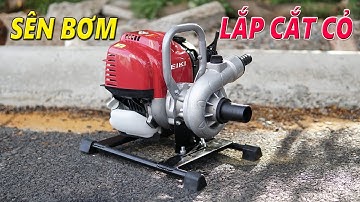 Test Máy Bơm Nước Sử Dụng Động Cơ Máy Cắt Cỏ 4 Kỳ | Sên Bơm Lắp Máy Cắt Cỏ