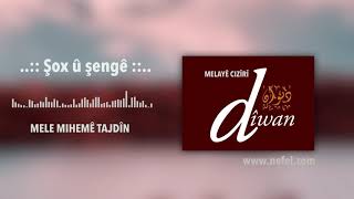 Melayê Cizîrî : Şox û şengê