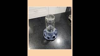 Quail Feeder with Feed Saver Ports by 2B Creations | Wide Mouth Mason Jar Compatible | Jar not In...