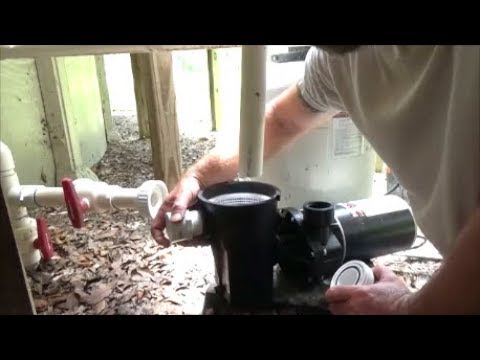 replacing-a-hayward-above-ground-pool-pump