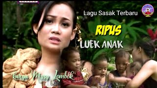 LOEQ ANAK || RIPUS || CILOKAK SASAK TULEN LOMBOK @MIZZY LOMBOK