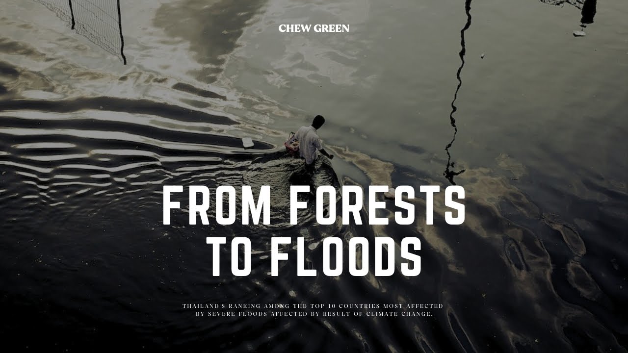 From Forests to Floods: A Call for Urgent Action「CHEW GREEN」