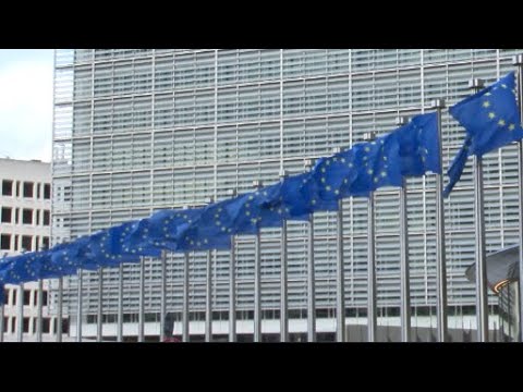 გახდება თუ არა საქართველო ევროკავშირის წევრობის კანდიდატი - საკითხი პოლიტიკური განხილვის თემაა