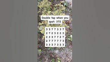 Observation Visual Test: 5 Seconds For You To Spot 372 . Try Your Skills!  #search #puzzle #shorts