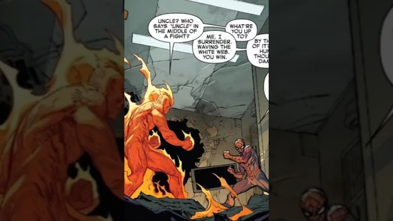 Human Torch Snapped At Spider-Man