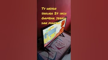 tv digital weyon sakura 24inch