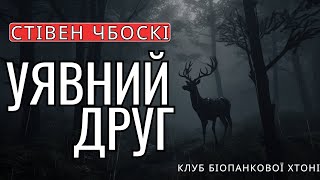 Стівен Чбоскі  - Уявний Друг | Кандидат на книгу року