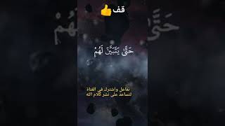 سنريهم أياتنا في الآفاق وفي أنفسهم....#سورة فصلت#الشيخ ياسر الدوسري 👍