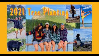 Treeplanting Experience 2021 !!