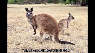 Fredric Mouchet : the South Australia of the French explorers