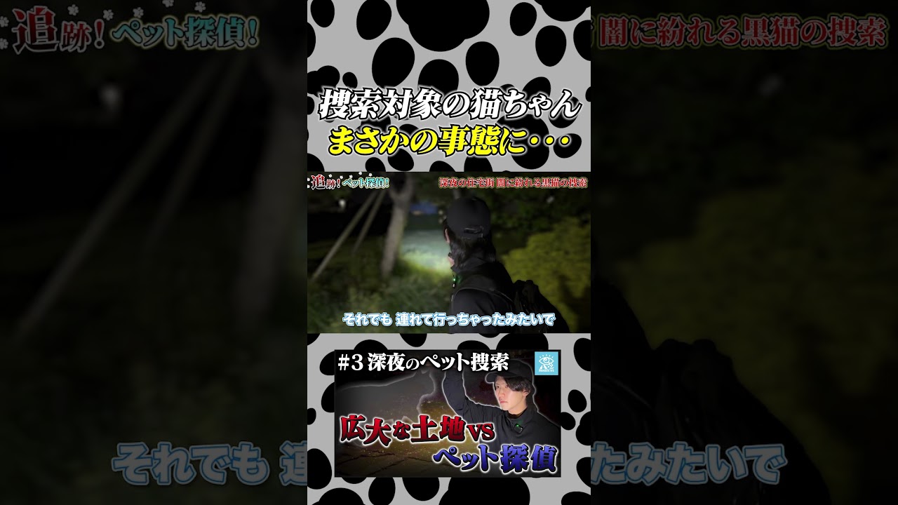 【緊急事態🆘】捜索対象の猫ちゃんがまさかの事態に… #shorts