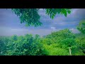 ভাই তোমার আর আমার মধ্যে পার্থক্য কি জানো? #youtubeshorts #shortsvideo #shortsfeed #foryou