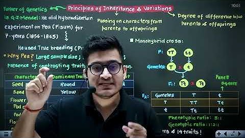 PRINCIPLES OF INHERITANCE AND VARIATION in 46 Minutes | Full Chapter Revision | Class 12th NEET
