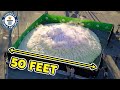 World's Largest Elephant Toothpaste Reaction - Guinness World Records