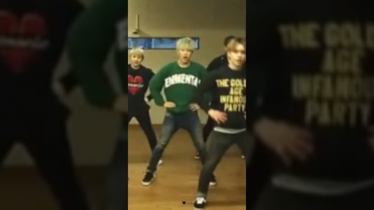 [세븐틴] 저격댄스 호시 focus (걸그룹 댄스 메들리)