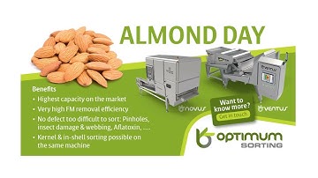 Almond day movie