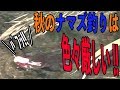 【秋×ナマズ】秋のナマズ釣りは色々厳しい!!