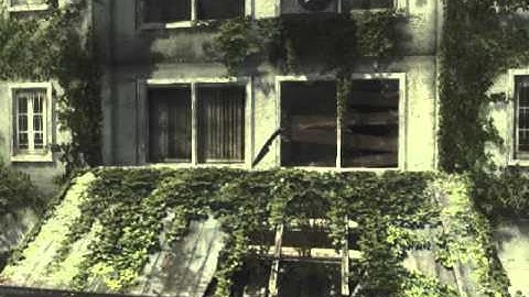 Mw3 My very first random throwing knife in fallen