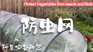 搭防虫网超简单！有机种菜之防虫必备神器 