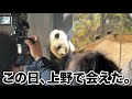 ずっと浜家を見てきた「和歌ぱんだ」が上野でシャオシャオに出会った日