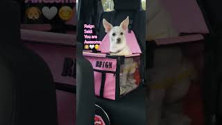 You Are Awesome 🤍🐶 ゚ Resimi