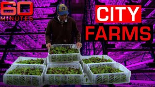 Solving the global food crisis with revolutionary skyscraper farms | 60 Minutes Australia