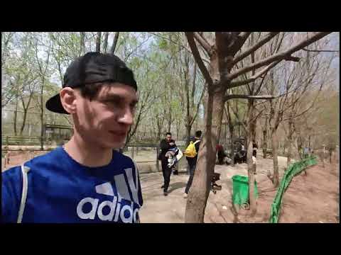 Китайский зоопарк. Зоопарк в городе Хэцзе Китай. Как найти работу в Китае? ВНЖ Китай