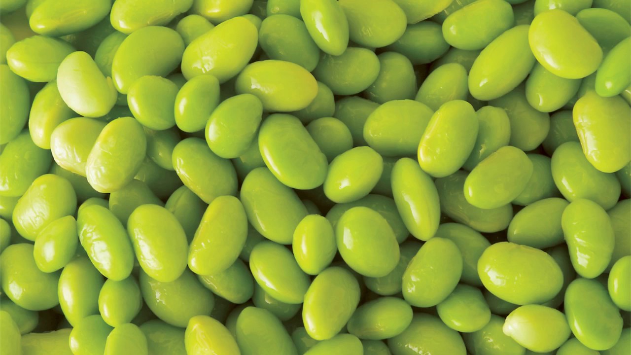 Can Dogs Eat Edamame Beans YouTube Can Dogs Eat Edamame Beans YouTube