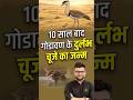 10 साल बाद गोडावण के दुर्लभ चूजे का जन्म #kumargauravsir #utkarshclasses