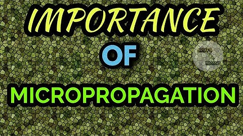 IMPORTANCE OF MICROPROPAGATION || ADVANTAGE OF MICROPROPAGATION || MICROPROPAGATION || PART 2