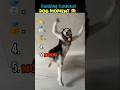 #moment Don't chake this sounds #viral