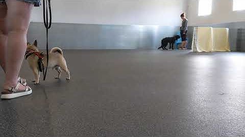 Indoor Look at that (LAT) game with Gabriel