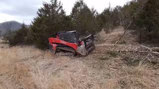 Kelly Excavating Kubota SV-L95 vs CAT 299d2 XHP with FAE mulchers