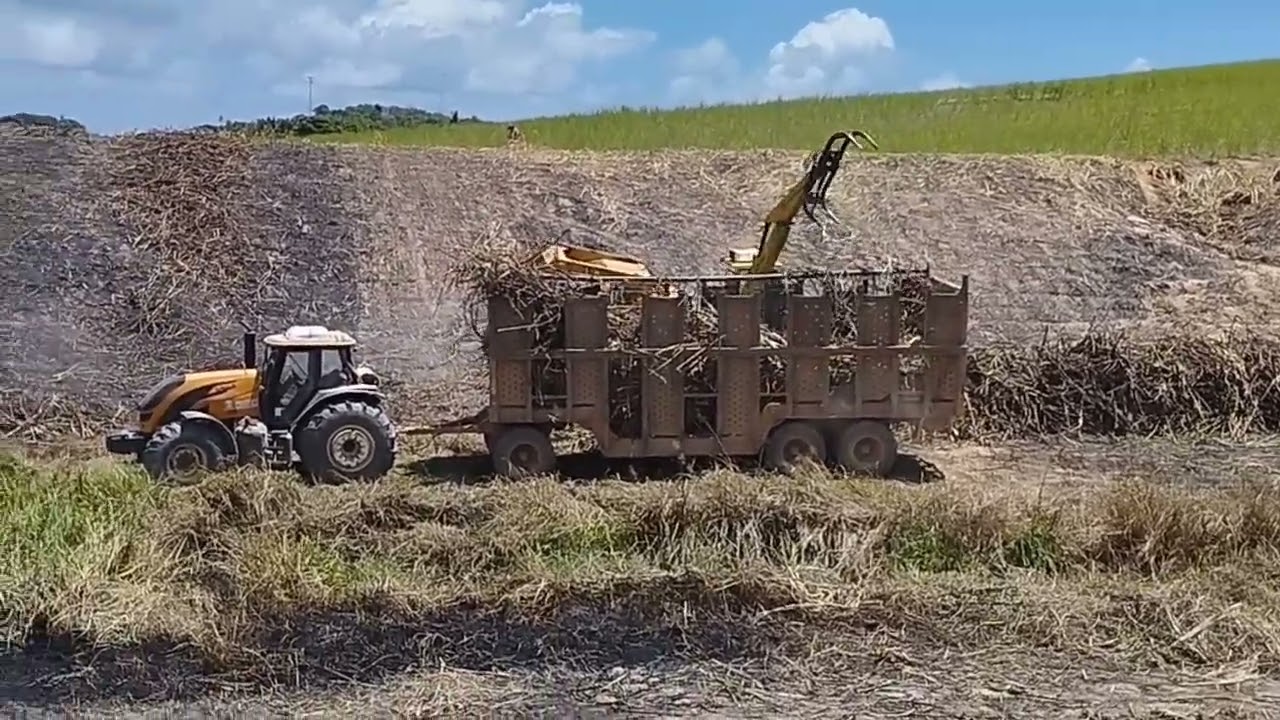 Segue minha família já carregadeira carregando o reboque