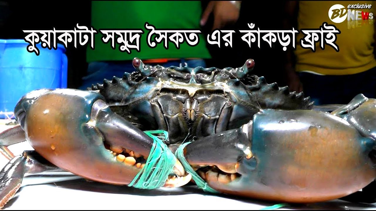 Tarixiy rus qishloq seks videolar Katta dumbali yalangoch qizlarning fotosuratlari