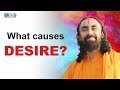 What is the Cause of Our Desires? | Swami Mukundananda