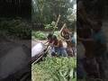 Tumi auto Gorai Dhoni ❤️❤️