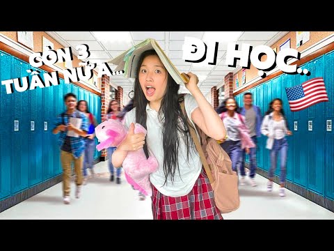 ĐI HỌC BÊN MỸ *SẮP TỐT NGHIỆP RỒI*
