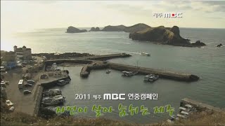 Regional MBC ID Collection (1986~2019)