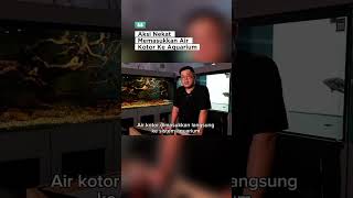 @Rumahmayin #3pawns #aquarium3pawns #mayininternational #rumahmayin #aquarium WF-DFML-HEE2