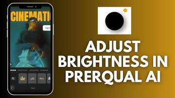 How to Adjust Brightness in Prequel Ai 2025?