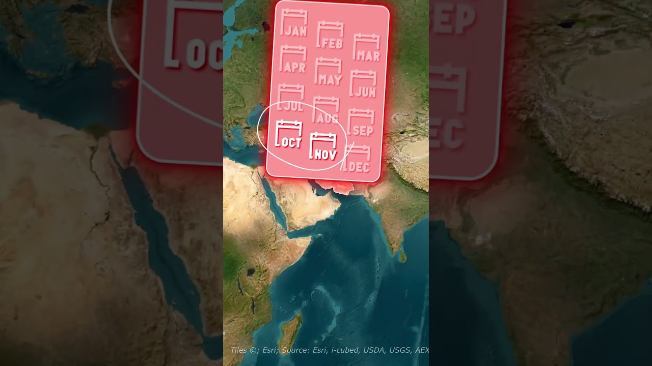 The World's Most Expensive Spice