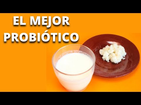 KEFIR: BENEFICIOS para
