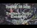 Despise in a combo meta pioneer bg rock 112723