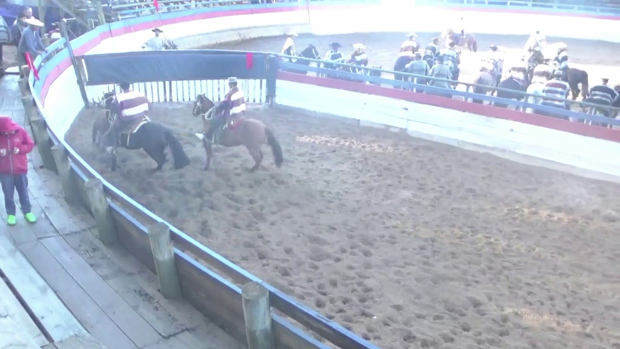 Rodeo Cr. Cauquenes 1ra Serie camera iphone 8 plus apk