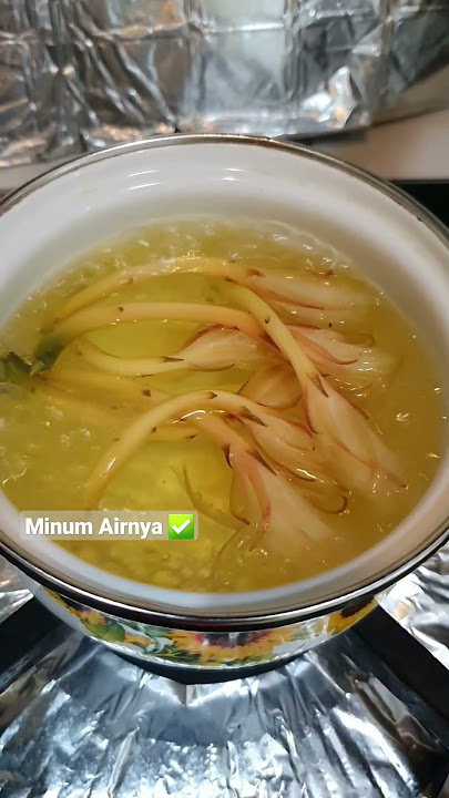 Minum Air Rebusan Bunga Wijaya Kusuma TokCer Buat Obati Panas Dalam & Sakit Tenggorokan|Rasanya Enak