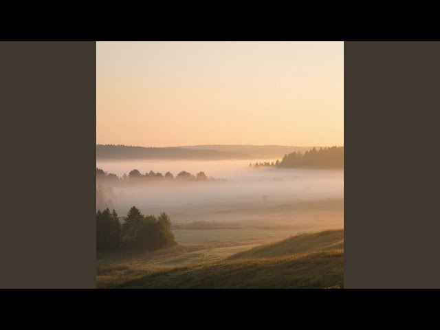 Morning Bliss (Remastered 2026)