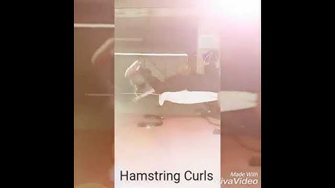 Prone Hamstring Curls | BBHAF