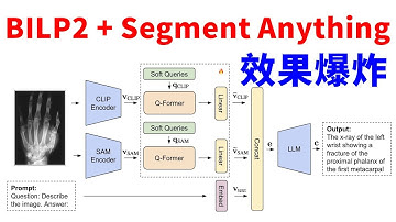 如何快速发论文？BLIP2 + SAM，简单的组合，很好的效果！