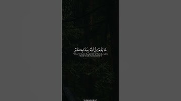 النساء: 147 برواية ورش عن نافع المنشاوي #قرآن #قران_كريم #المنشاوي #نهاوند